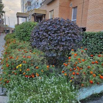 Продается 1-комнатная квартира, 37,9 м²