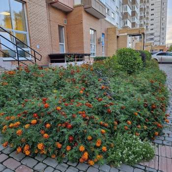 Продается 1-комнатная квартира, 37,9 м²