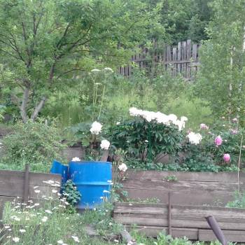 Продается Участок, 800 м²