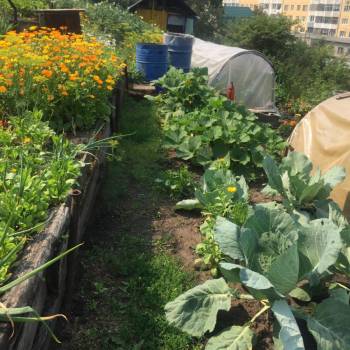 Продается Участок, 800 м²