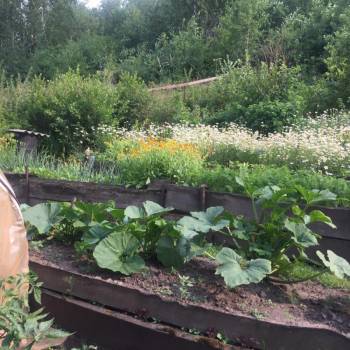 Продается Участок, 800 м²