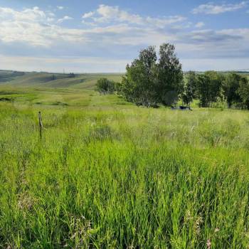 Продается Участок, 1580 м²