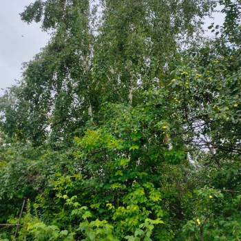 Продается Участок, 500 м²