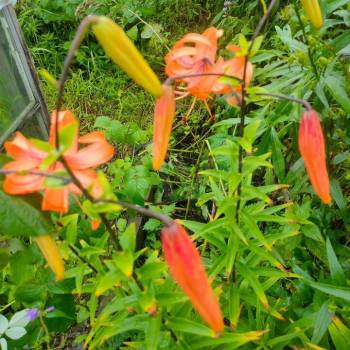 Продается Участок, 500 м²