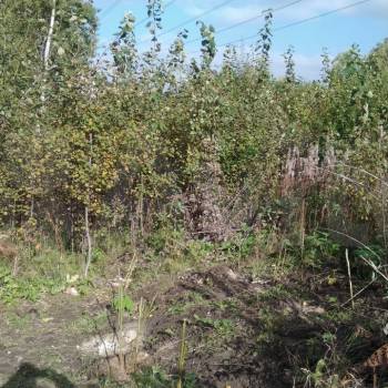 Продается Участок, 850 м²