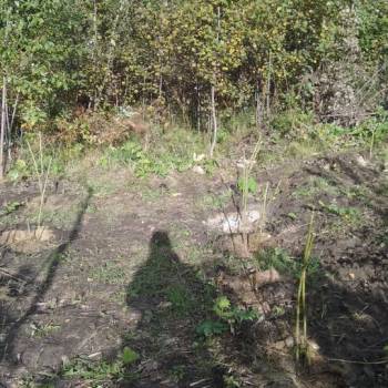 Продается Участок, 850 м²