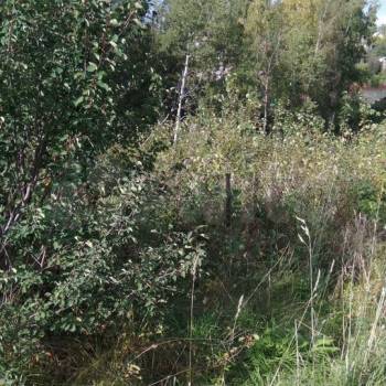 Продается Участок, 850 м²