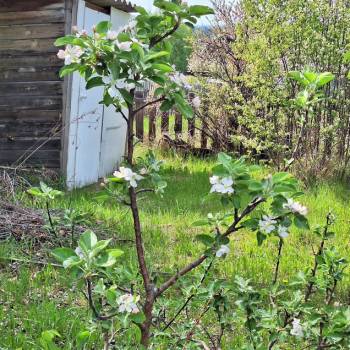 Продается Участок, 720 м²