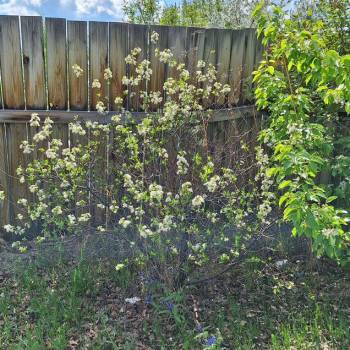 Продается Участок, 720 м²