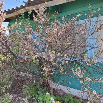 Продается Участок, 720 м²