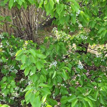 Продается Участок, 720 м²