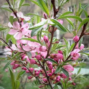 Продается 2-х комнатная квартира, 38 м²