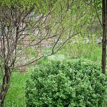 Продается 2-х комнатная квартира, 38 м²