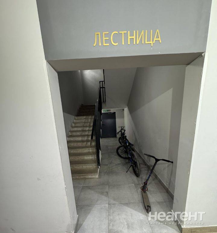 Фотография №2