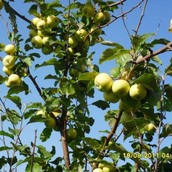 Продается Дом, 55,3 м²