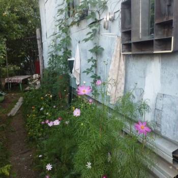 Продается Дом, 25 м²