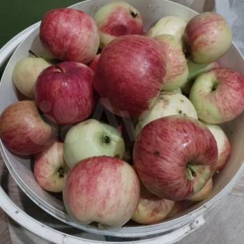 Продается Дом, 25 м²