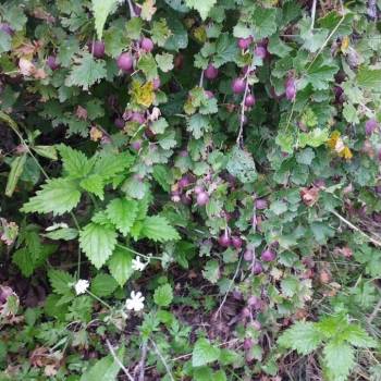 Продается Дом, 25 м²