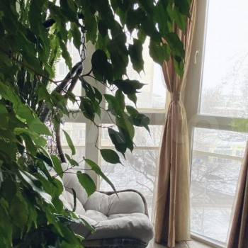 Продается 3-х комнатная квартира, 72 м²