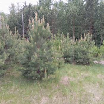 Продается Участок, 1050 м²