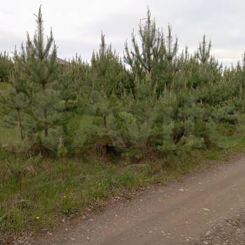 Продается Участок, 1050 м²