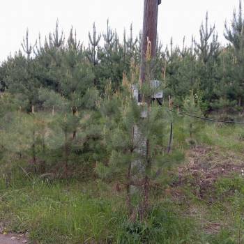 Продается Участок, 1050 м²