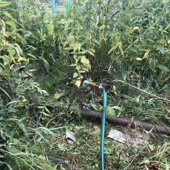 Продается Дом, 20 м²