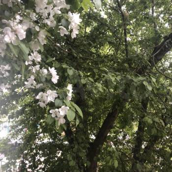 Продается Дом, 20 м²