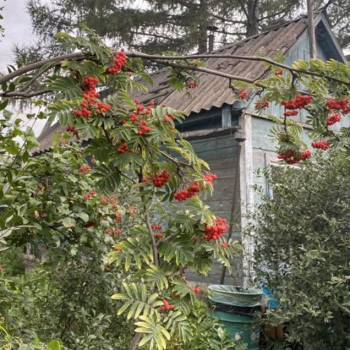 Продается Дом, 20 м²