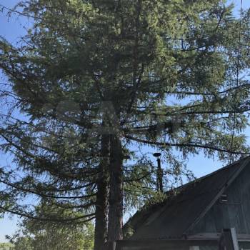 Продается Дом, 20 м²