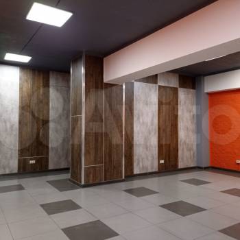 Сдается Нежилое помещение, 246 м²