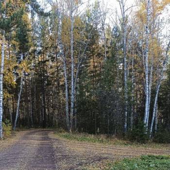 Продается Участок, 580 м²