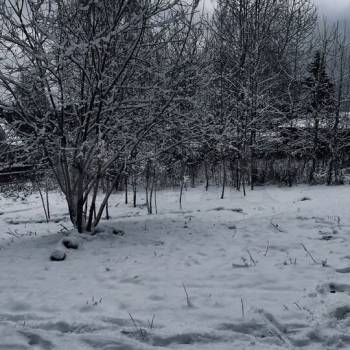 Продается Участок, 580 м²