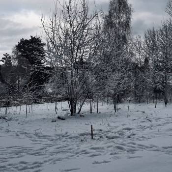 Продается Участок, 580 м²