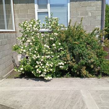 Продается Дом, 162 м²