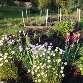 Продается Участок, 1500 м²