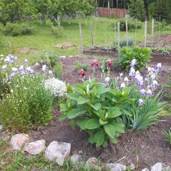 Продается Участок, 1500 м²