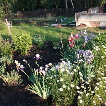 Продается Участок, 1500 м²