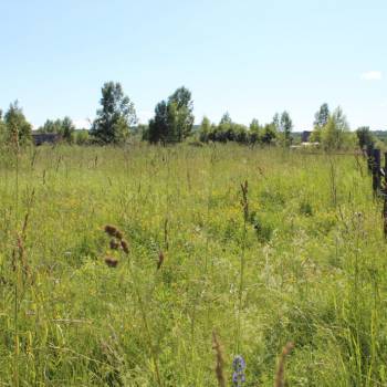 Продается Участок, 5000 м²