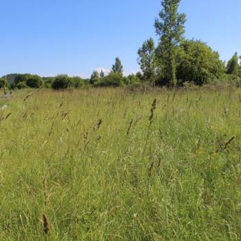 Продается Участок, 5000 м²