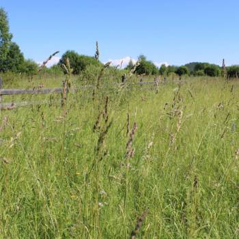 Продается Участок, 5000 м²