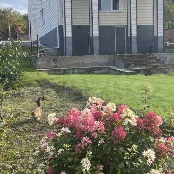 Продается Дом, 190 м²