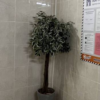 Продается 3-х комнатная квартира, 69,7 м²