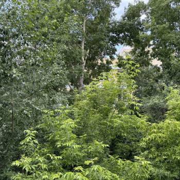 Продается 2-х комнатная квартира, 45,6 м²