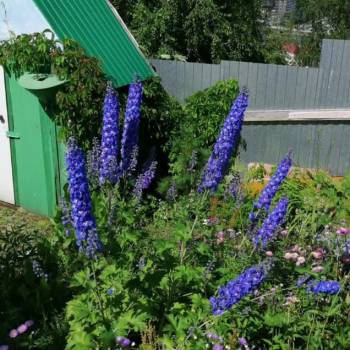 Продается Дом, 27 м²