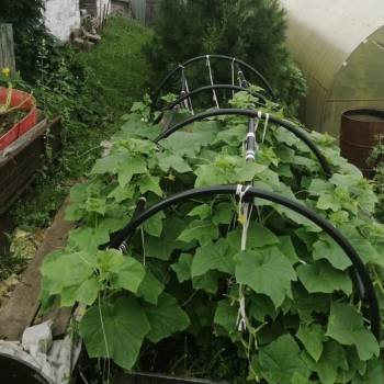 Продается Дом, 27 м²