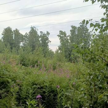 Продается Участок, 1000 м²