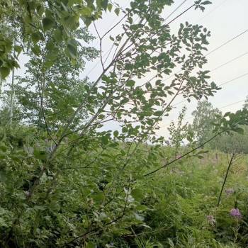 Продается Участок, 1000 м²