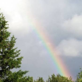 Продается Участок, 2000 м²