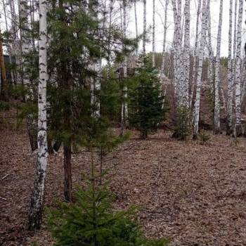 Продается Участок, 2000 м²